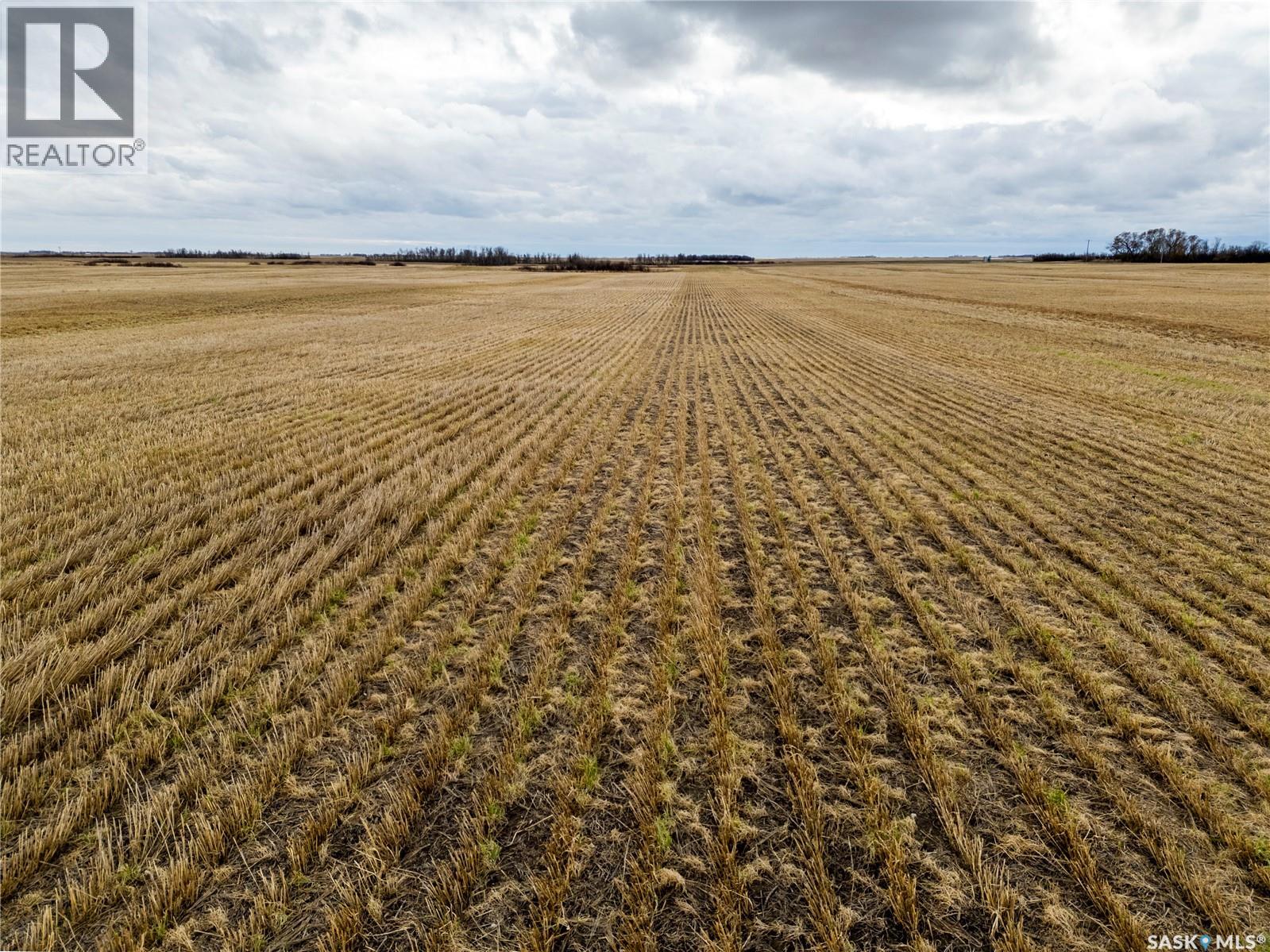 2,326 Acres - Estevan/Macoun
