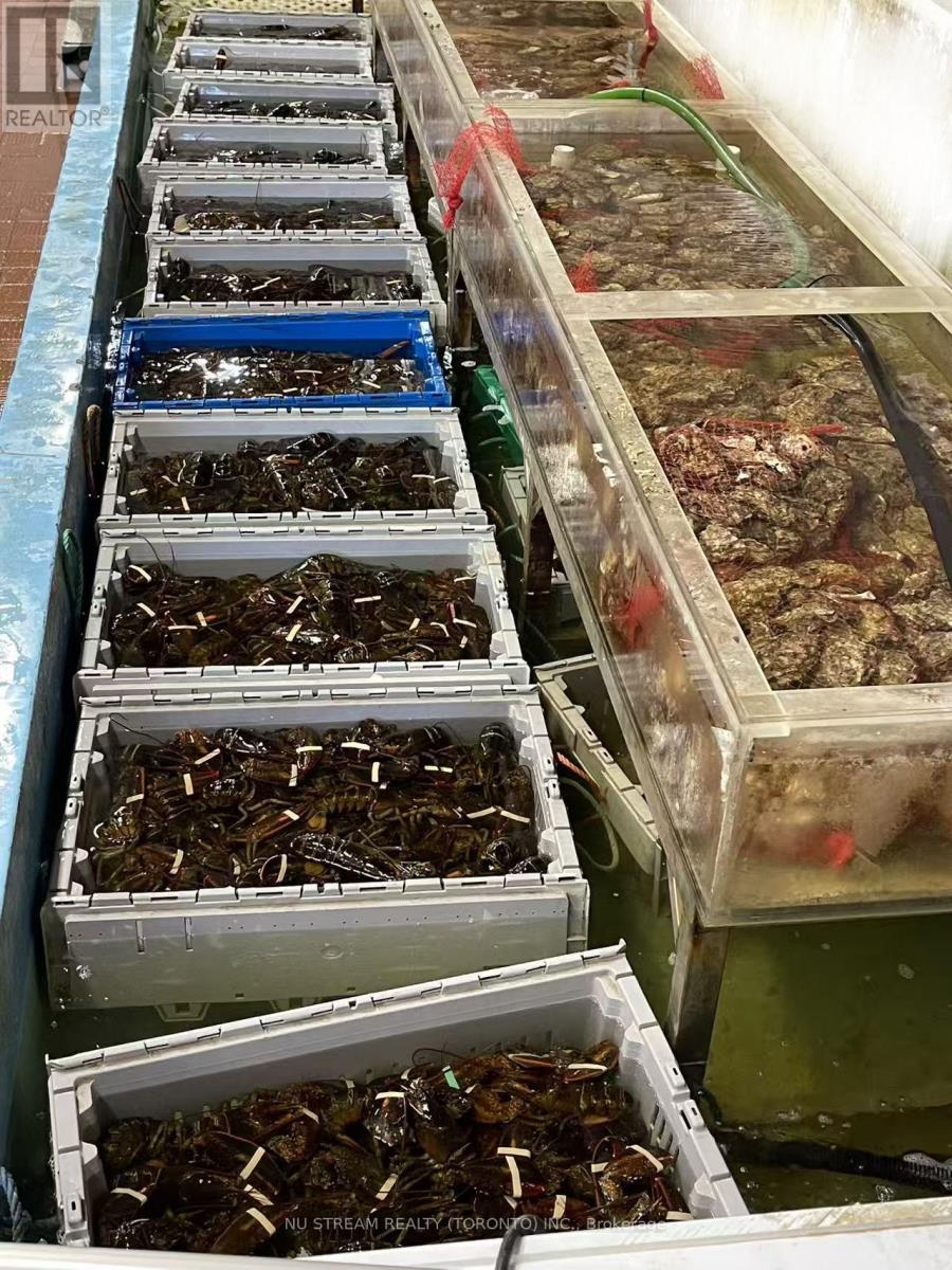 D20 - 63 SILVER STAR BOULEVARD