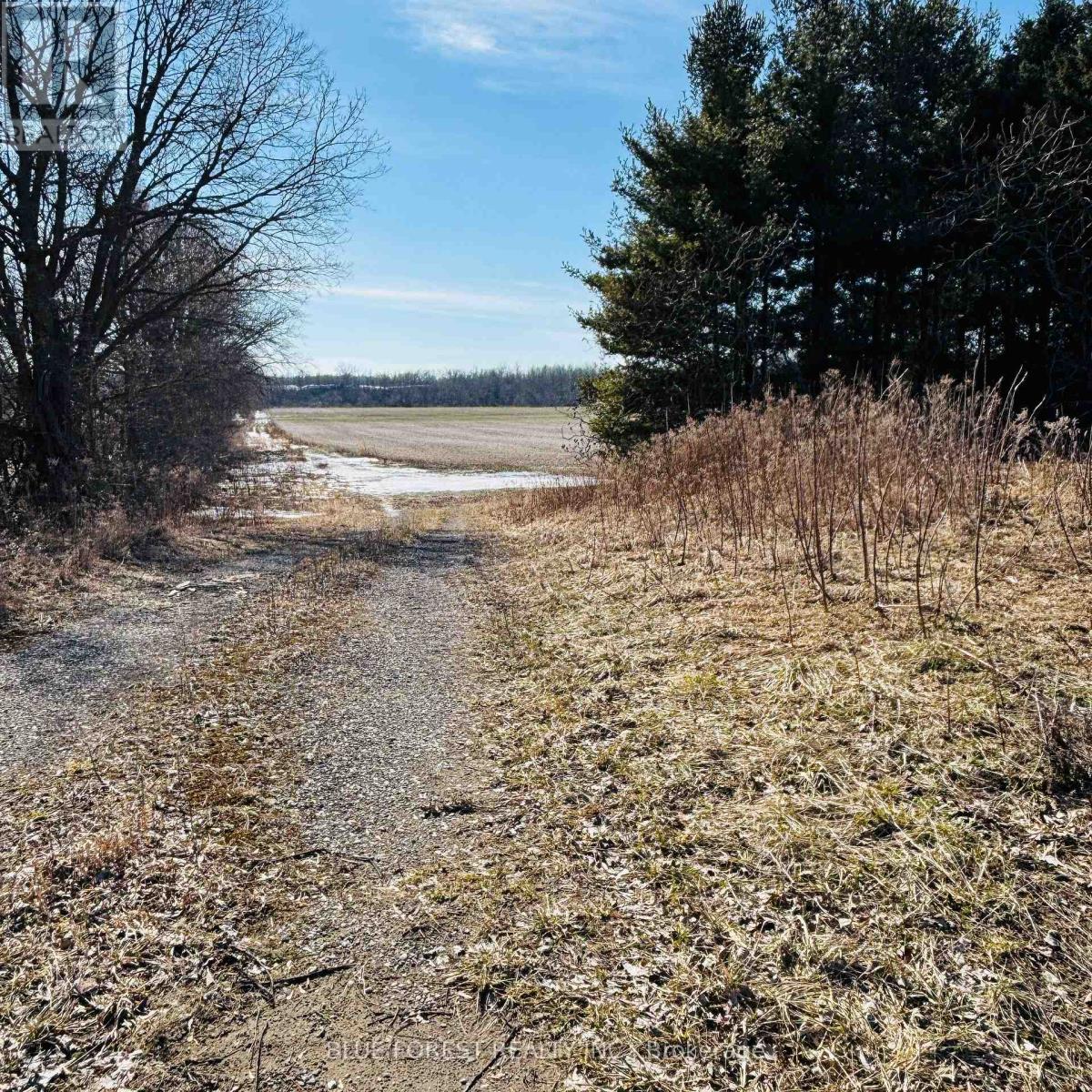 21189 DUNDONALD ROAD