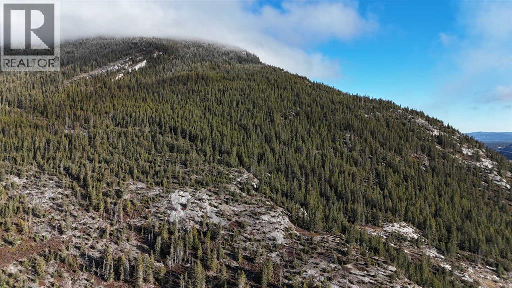 65 Acres Along Windridge Road