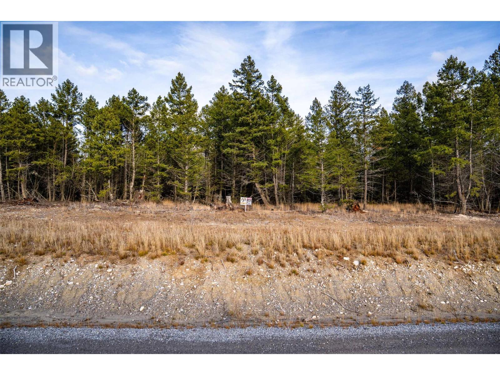 Lot 29 ELKHORN Boulevard