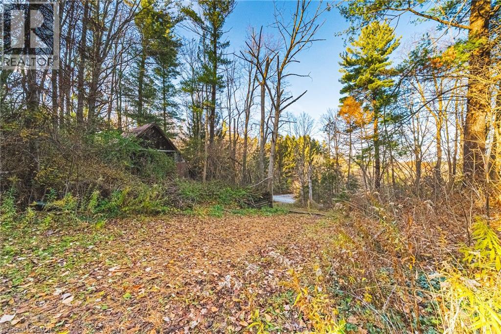 1296 MINERAL SPRINGS Road