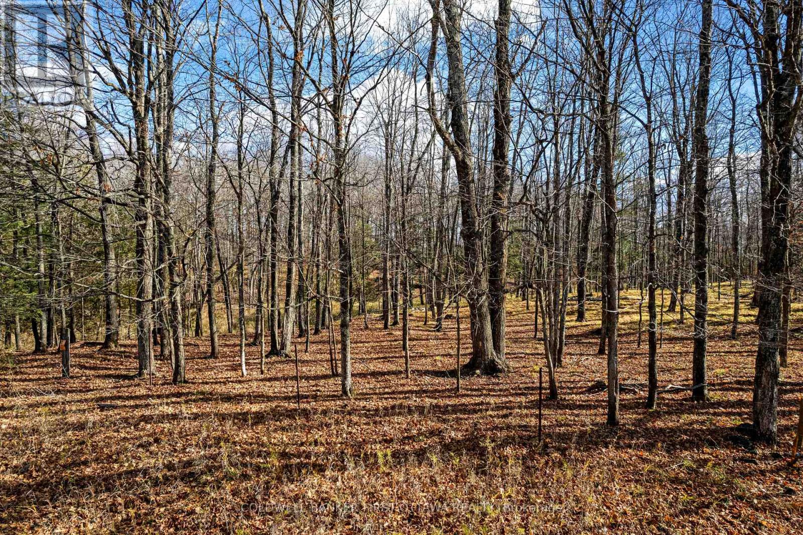 PT 3-00 HERRON MILLS ROAD