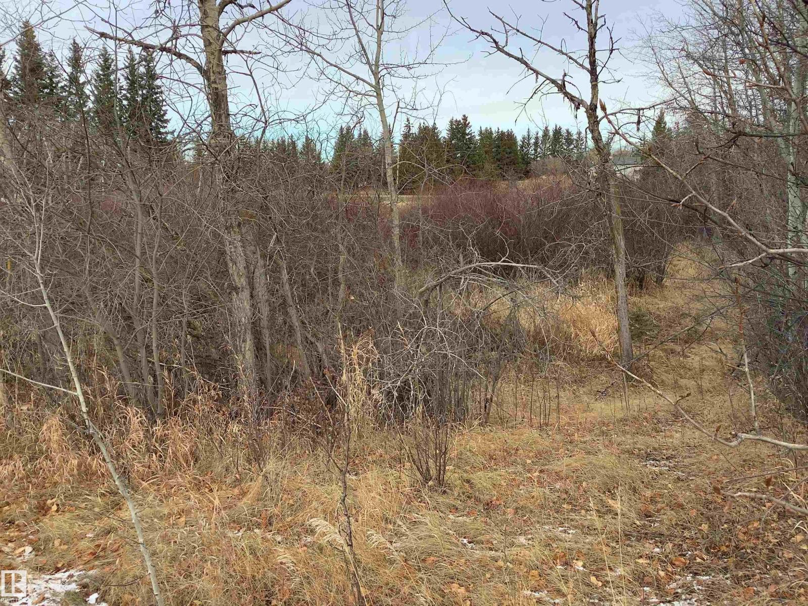 #242 21252 TWP ROAD 540