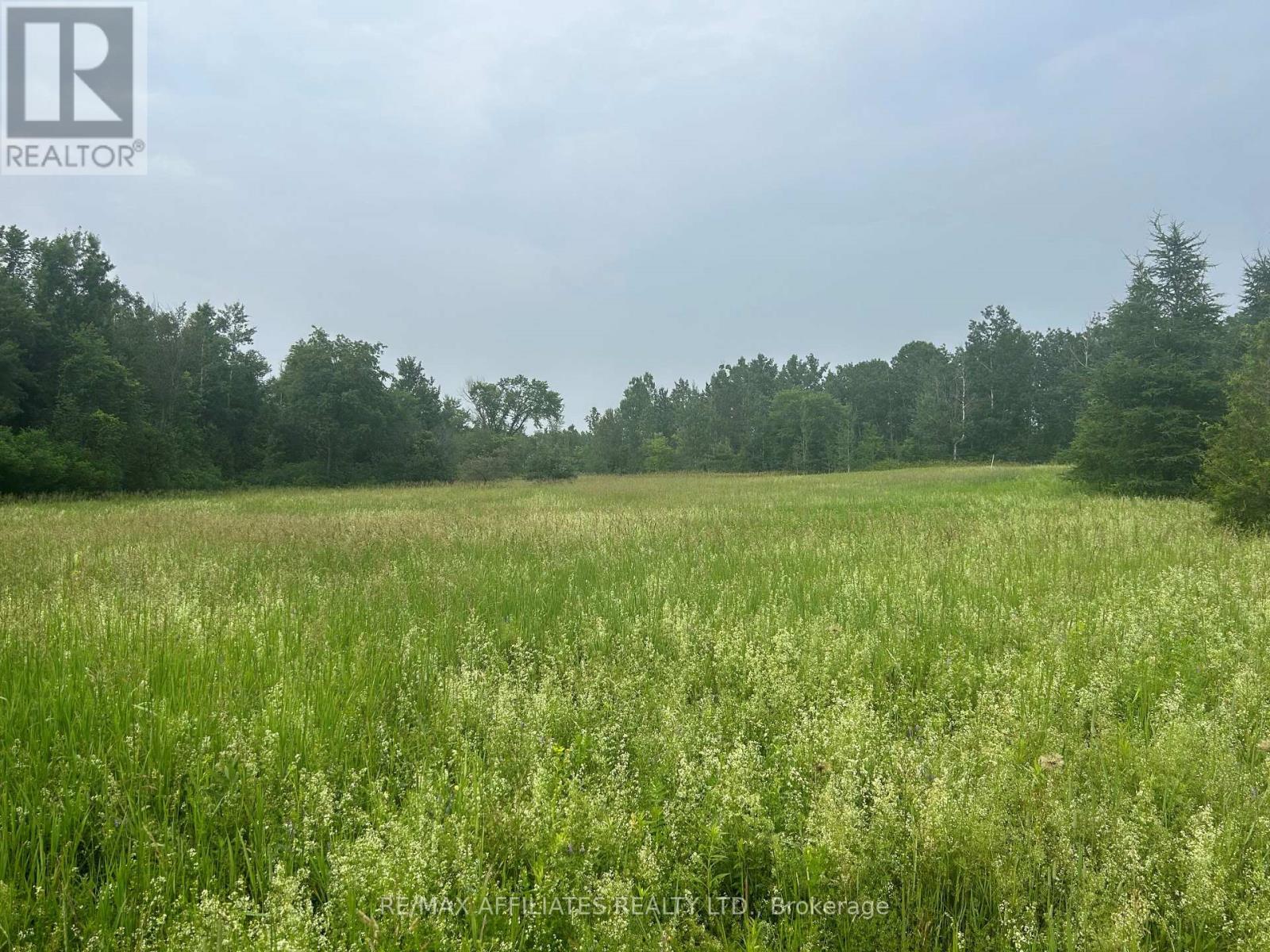 18999 CONCESSION ROAD