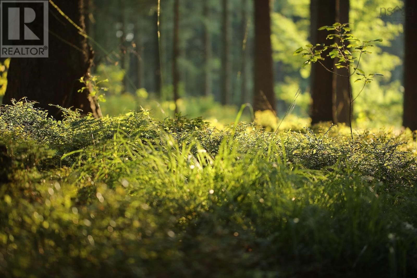 Lot Old Mountain Road