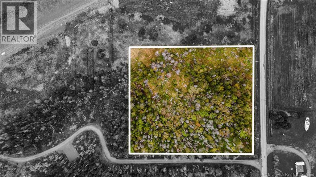 1.08hec Ch de La Tourbiere