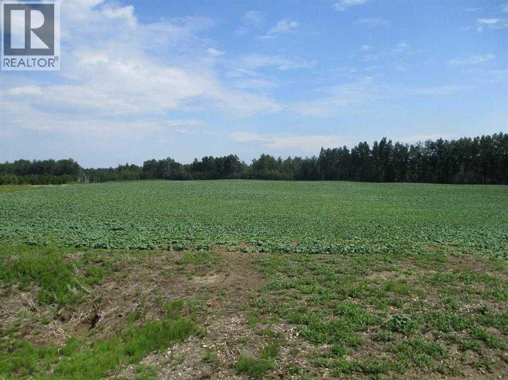 NW-9-89-21-W5 Deadwood