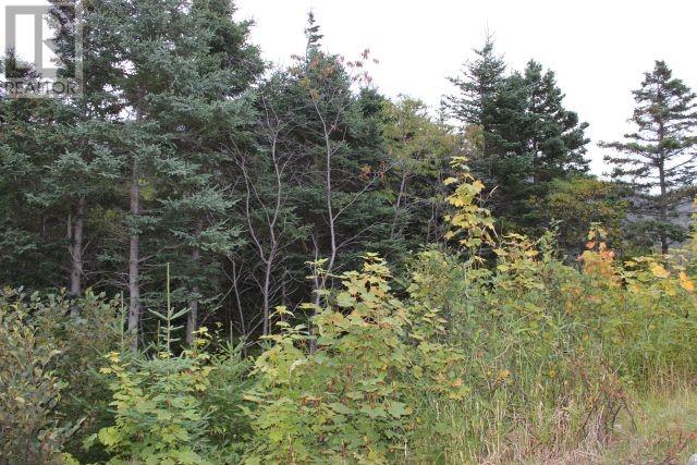 235-241 Beachy Cove Road