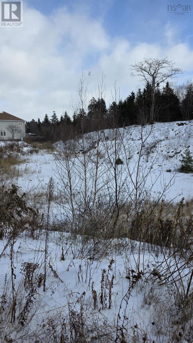 SF13 16 Lauderdale Court