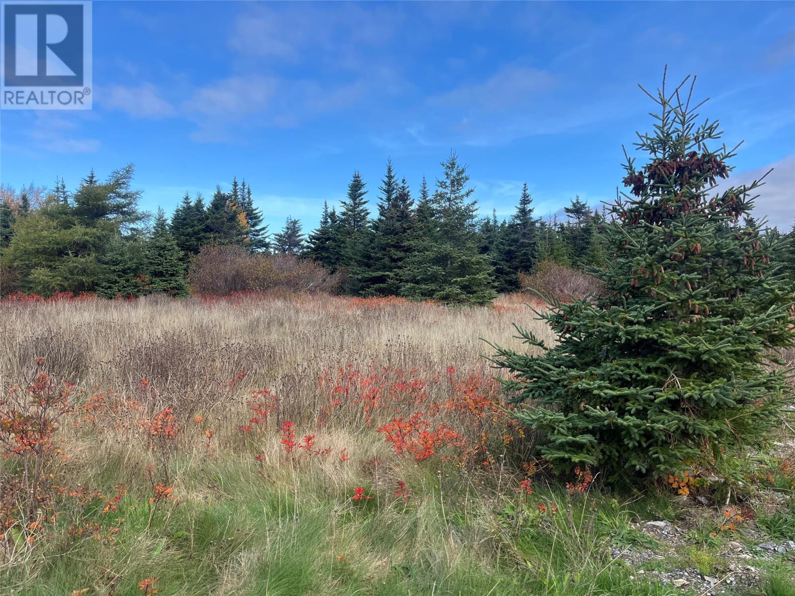 17-25 Bay Ridge Road