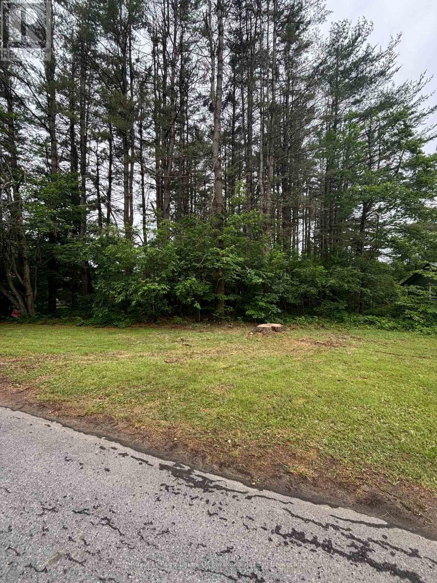 124 FREDERICK STREET