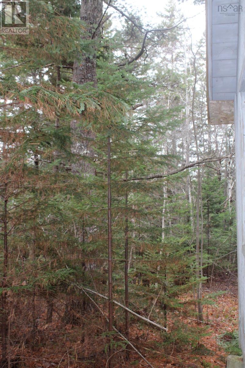 Lot Mirror Point Drive