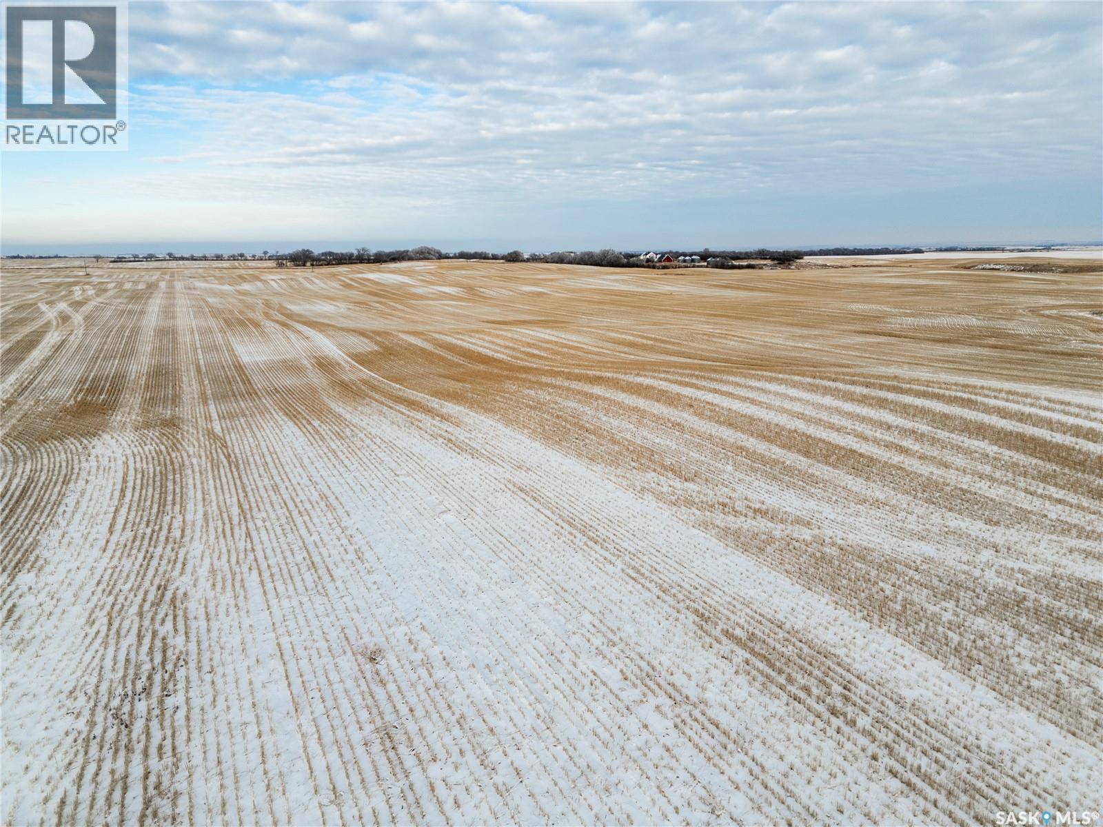 1 Quarter Grainland Near Macrorie, SK
