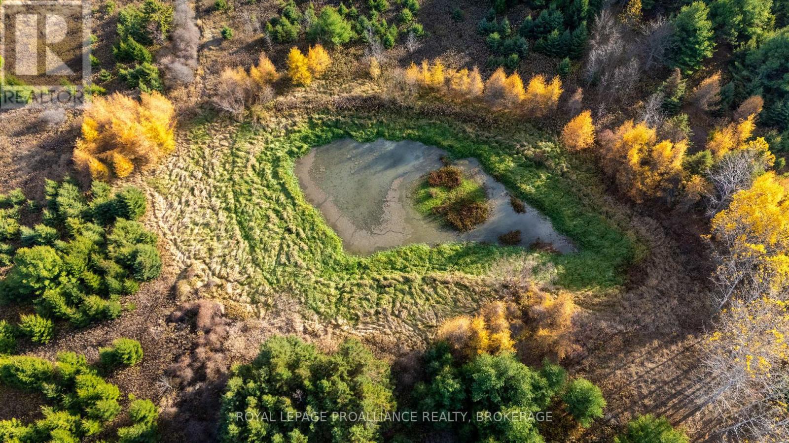 PT LT 18-19 FRONT ROAD