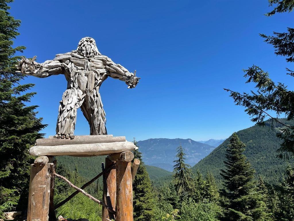 47080 SNOWMIST DRIVE