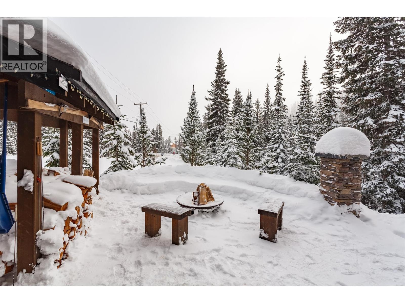 1211 APEX MOUNTAIN Road Unit# 1