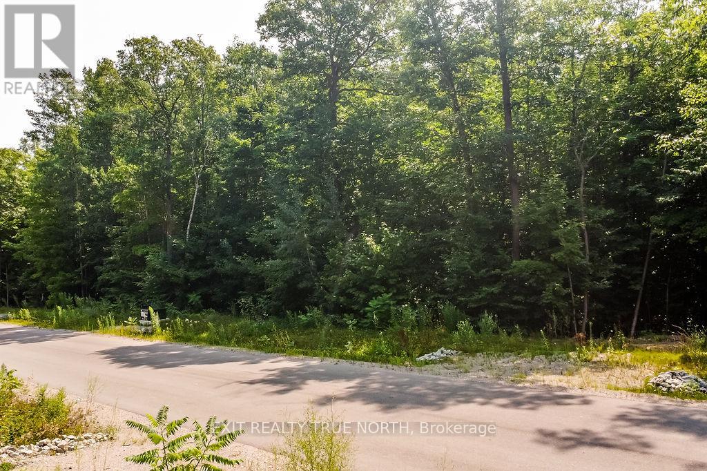 LT 45 EXPLORERS LANDING