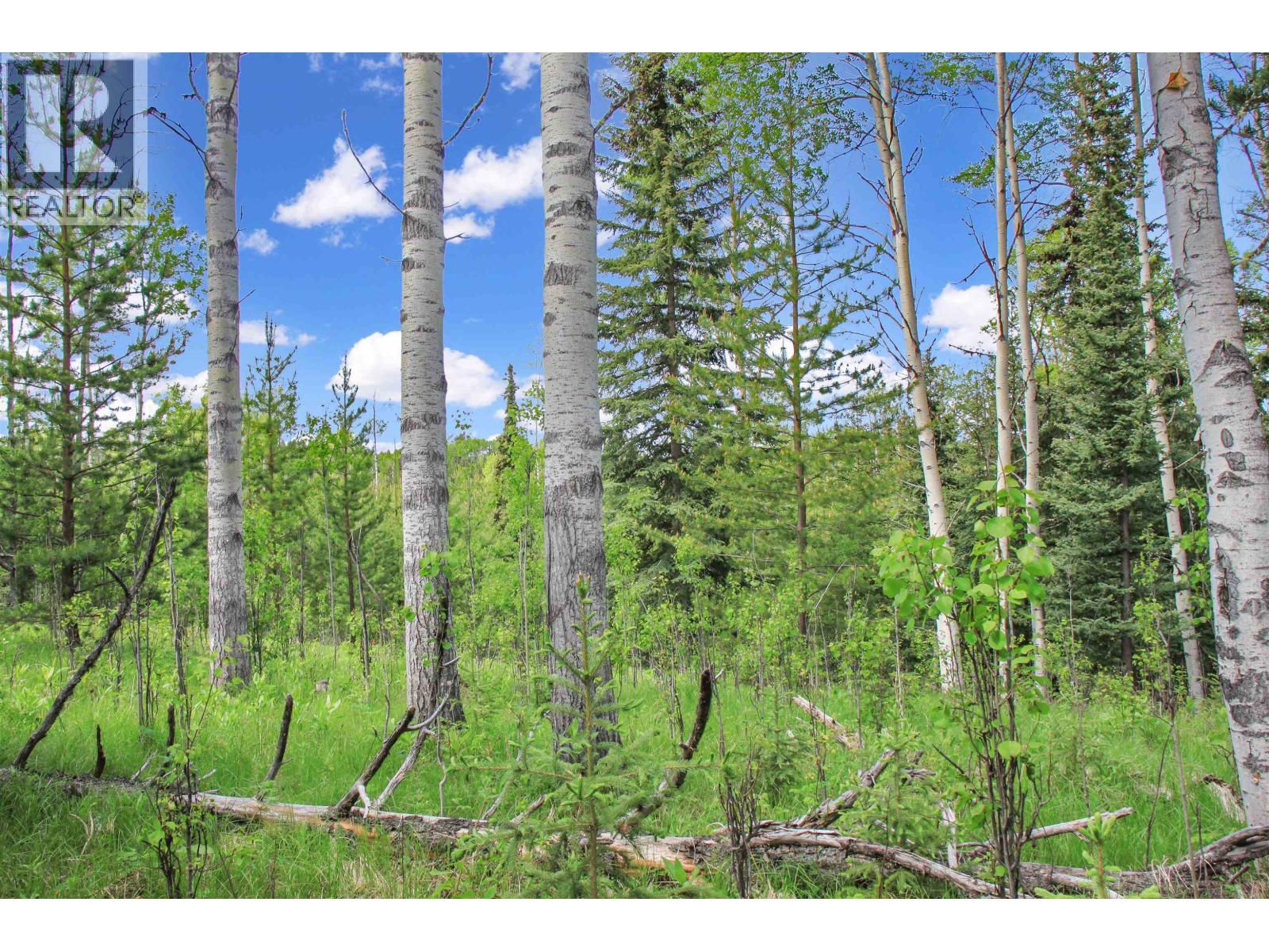 PROP LOT 19 BROWN ROAD