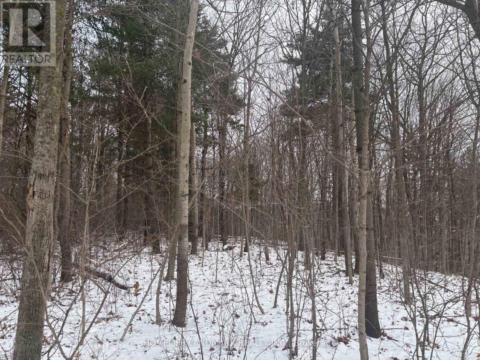 LT 45 CON 7 EBR LINDSAY