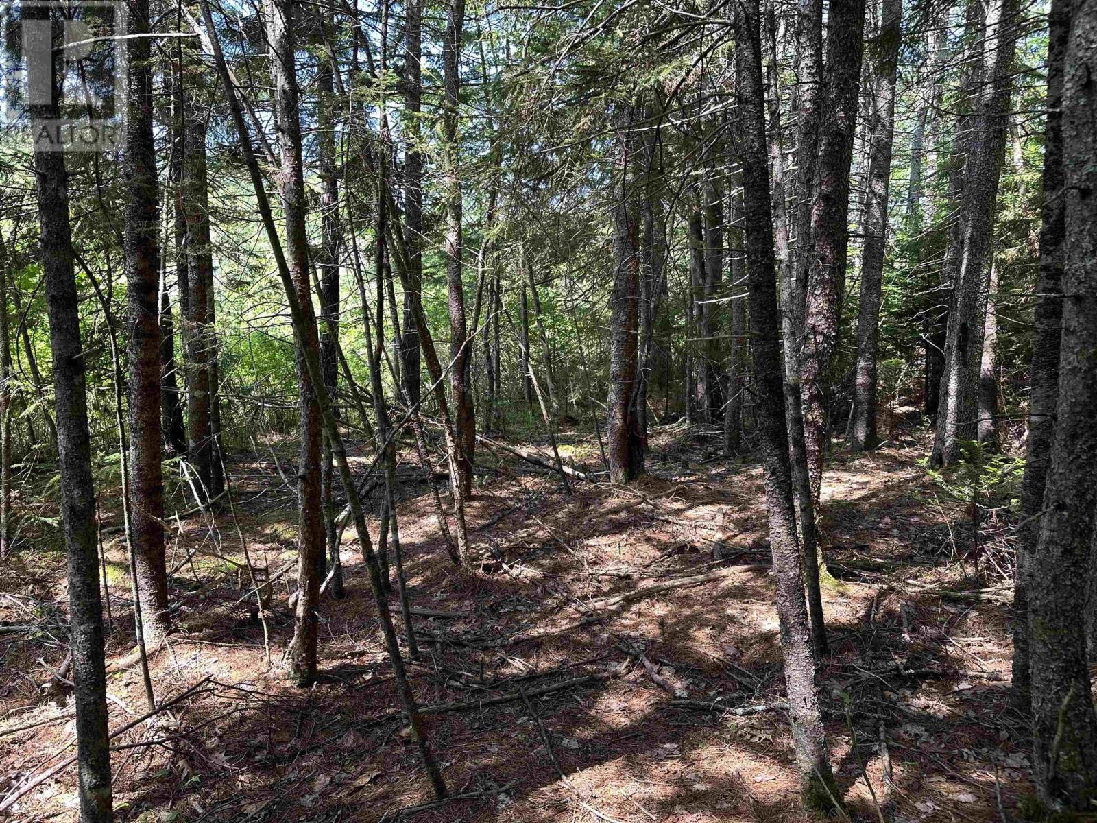 Lot 3 Target Hill Road