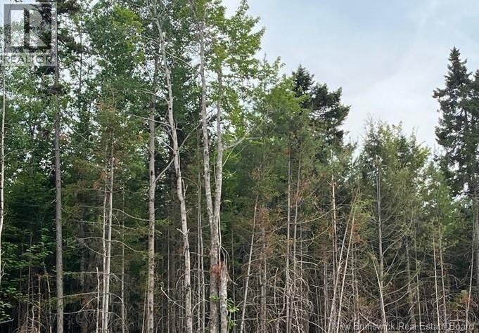 Lot 24-05 Chultun Court