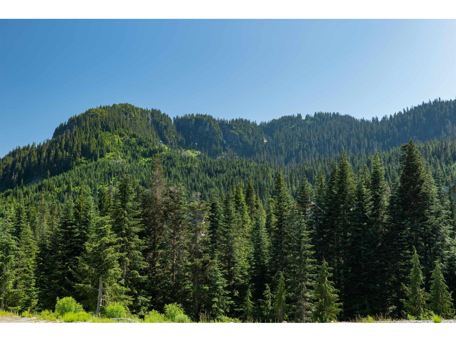 4 20649 EDELWEISS DRIVE