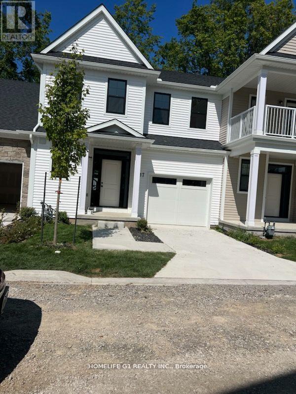 17 - 17 SHAMROCK COMMON