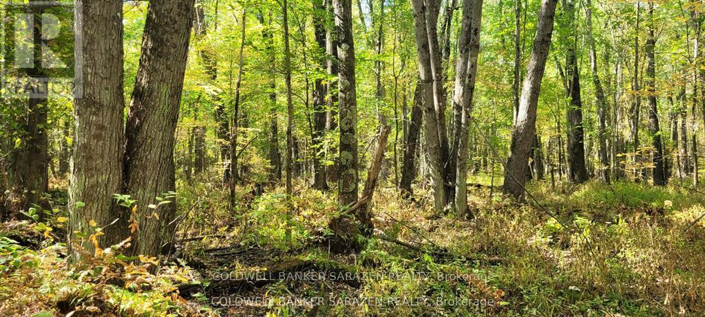 PT/LOT 21 CONCESSION 3 ROAD