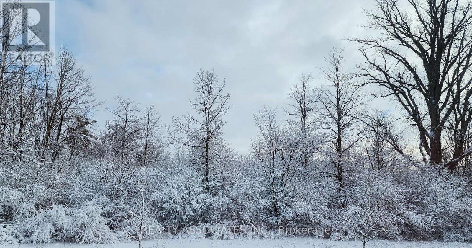 3333 MOCKINGBIRD COMMON