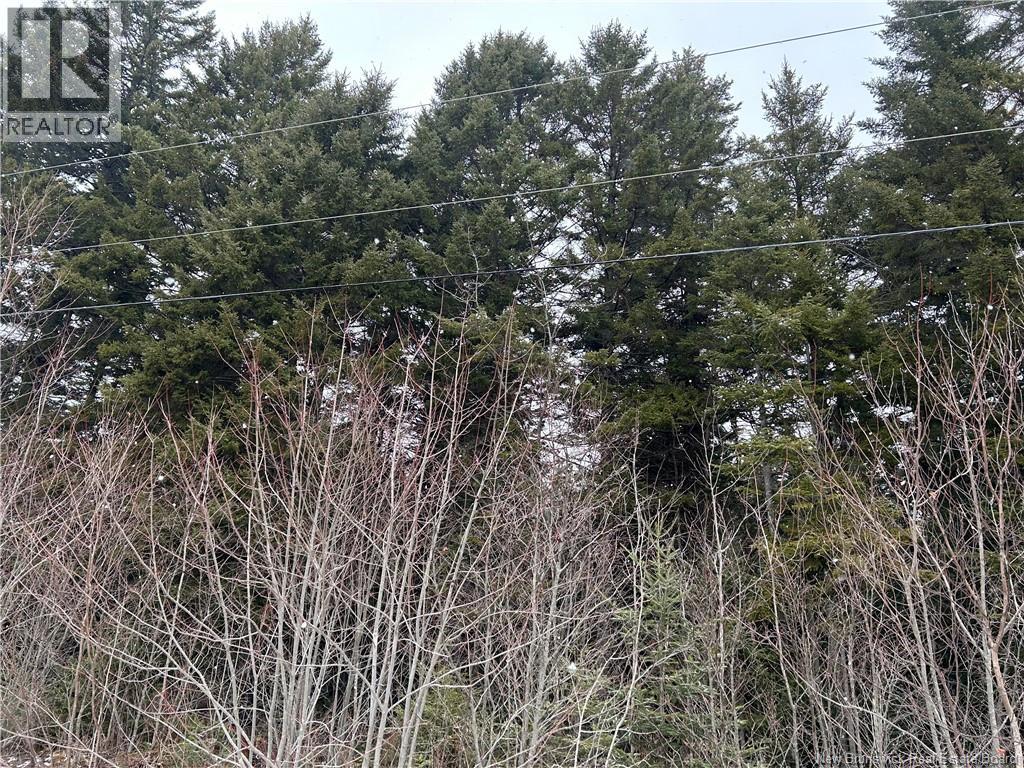 Lot 26-2 Backland Road