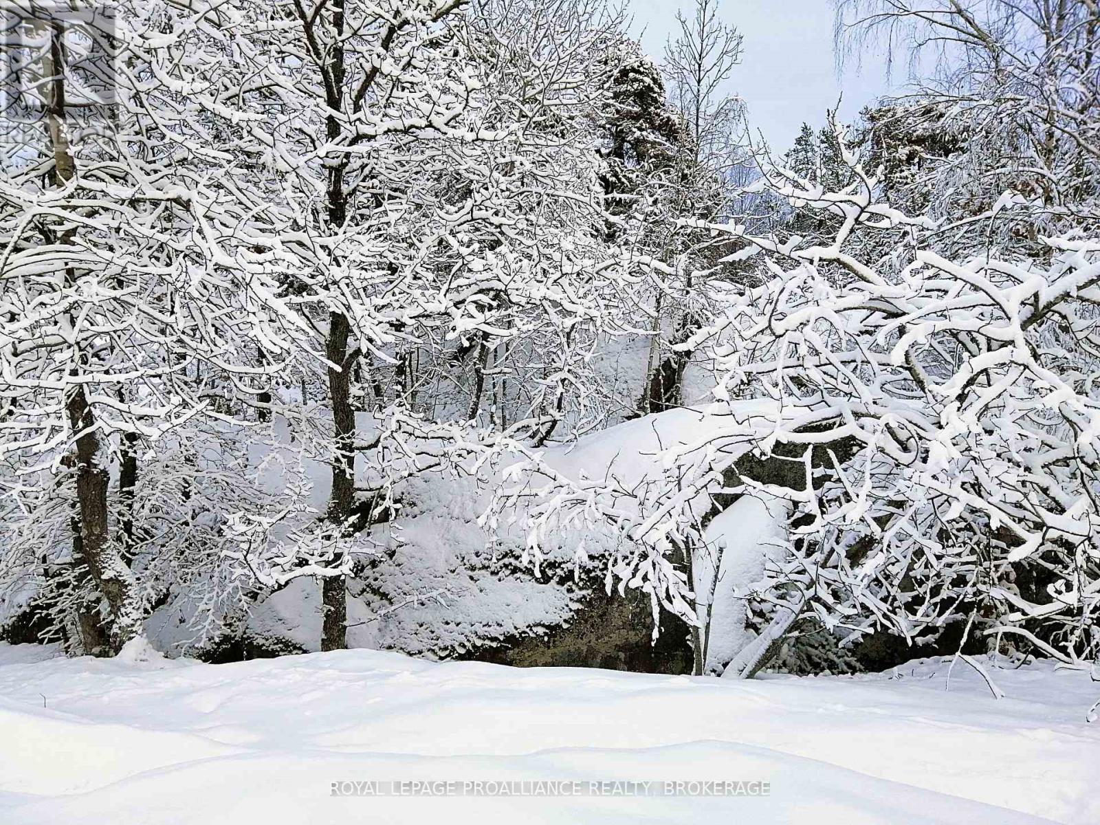 384 BIG CROSBY LAKE ROAD