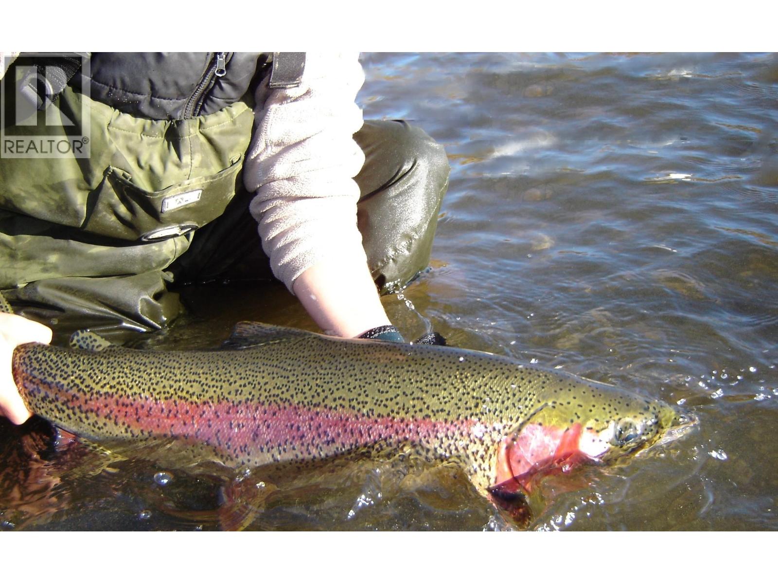 5921 CEDAR CREEK ROAD