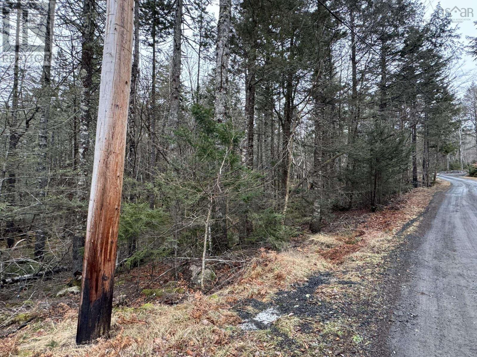 Lot 38 Thumb Cap Point