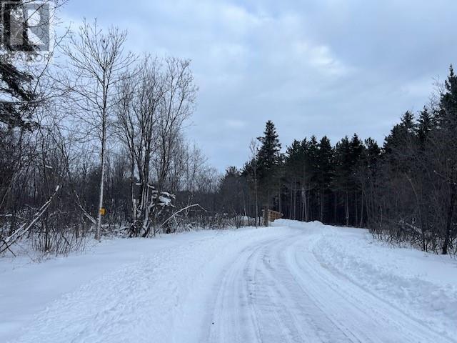 200 Beauparlant Road